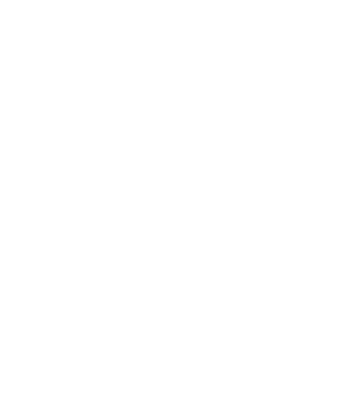 Orion